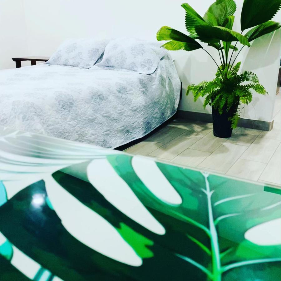 Bongalow Villa Sarchí Εξωτερικό φωτογραφία